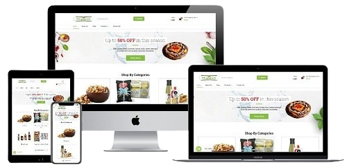 Web Development